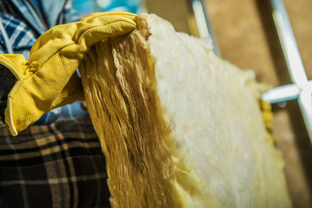 Best DIY Insulation Kits and Guidance in Palmer, TX