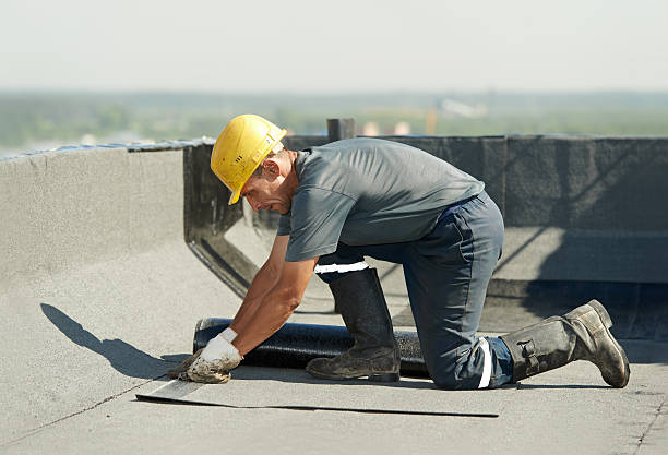 Best Spray Foam Insulation in Palmer, TX