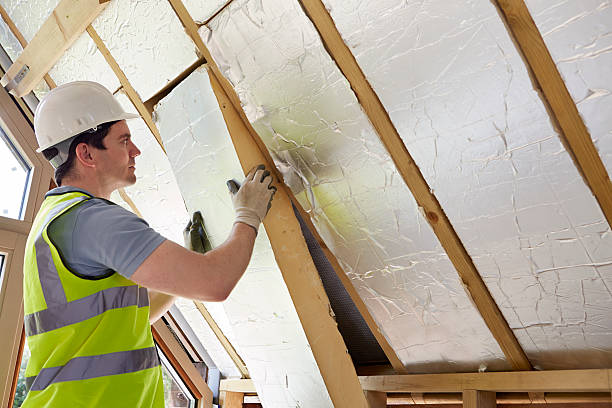 Best Cellulose Insulation in Palmer, TX