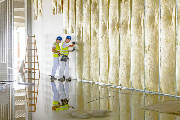 Best Geographic-Specific Insulation Services in Palmer, TX